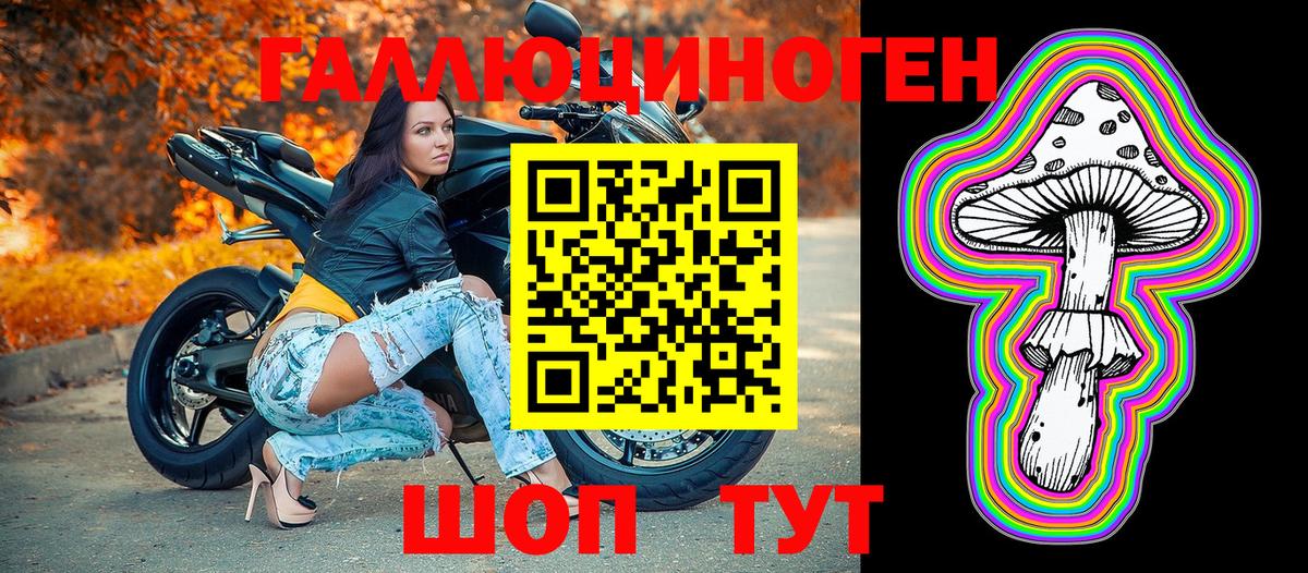Псилоцибиновые грибы Cubensis Ликино-Дулёво