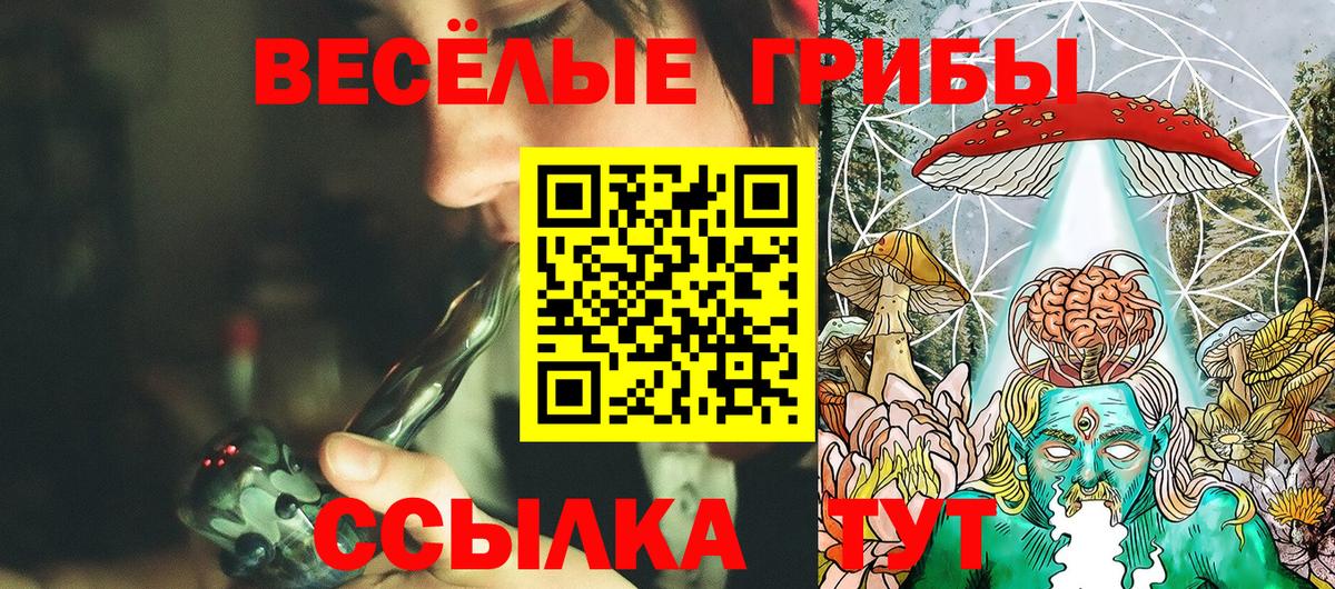 цена   Вход с VPN  Ликино-Дулёво  Псилоцибиновые грибы Psilocybe 